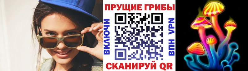 Псилоцибиновые грибы прущие грибы гидра ТОР Никольск где найти